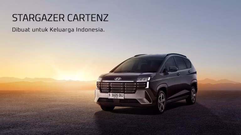 Read more about the article Brosur STARGAZER CARTENZ